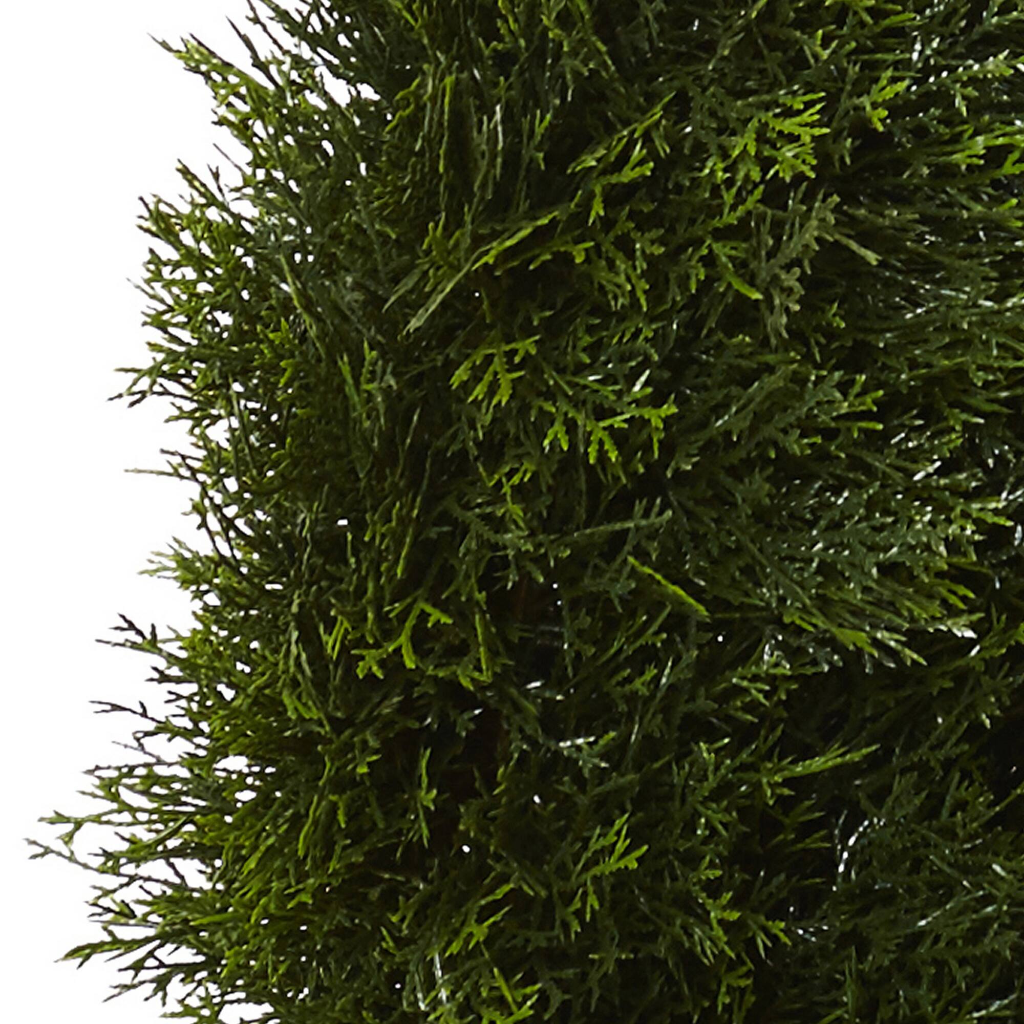 5ft. Potted Double Pond Cypress Spiral Topiary Tree
